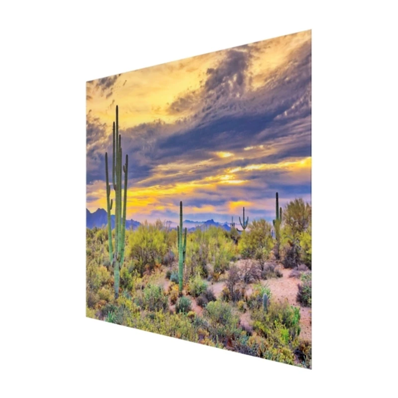 Saguaro Sunset Tempered Glass Art Print