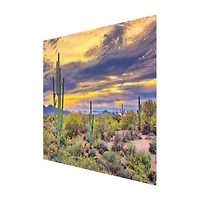 Saguaro Sunset Tempered Glass Art Print