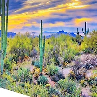 Saguaro Sunset Tempered Glass Art Print