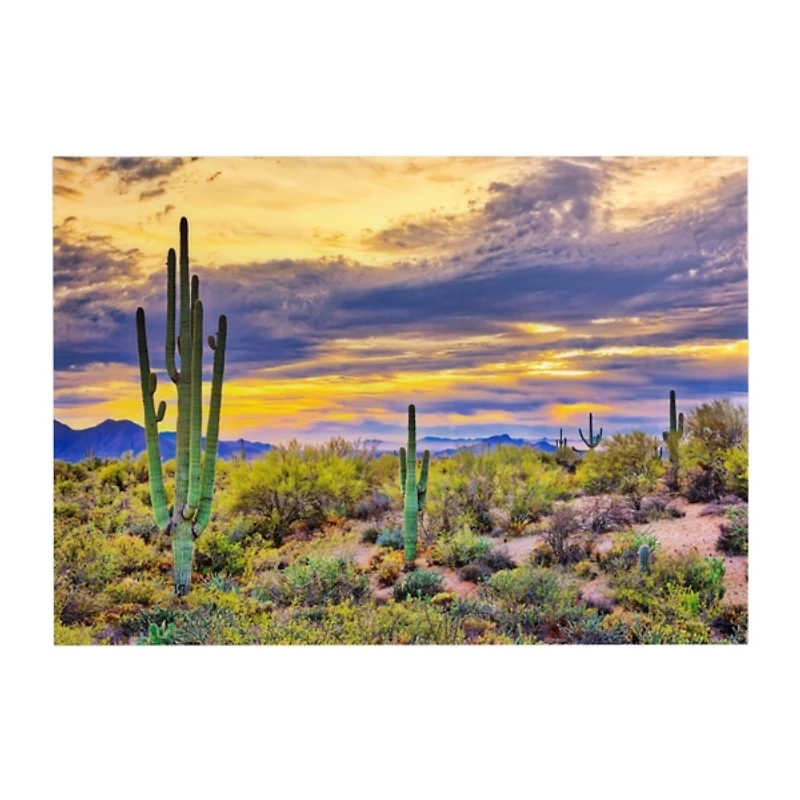 Saguaro Sunset Tempered Glass Art Print