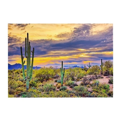 Saguaro Sunset Tempered Glass Art Print