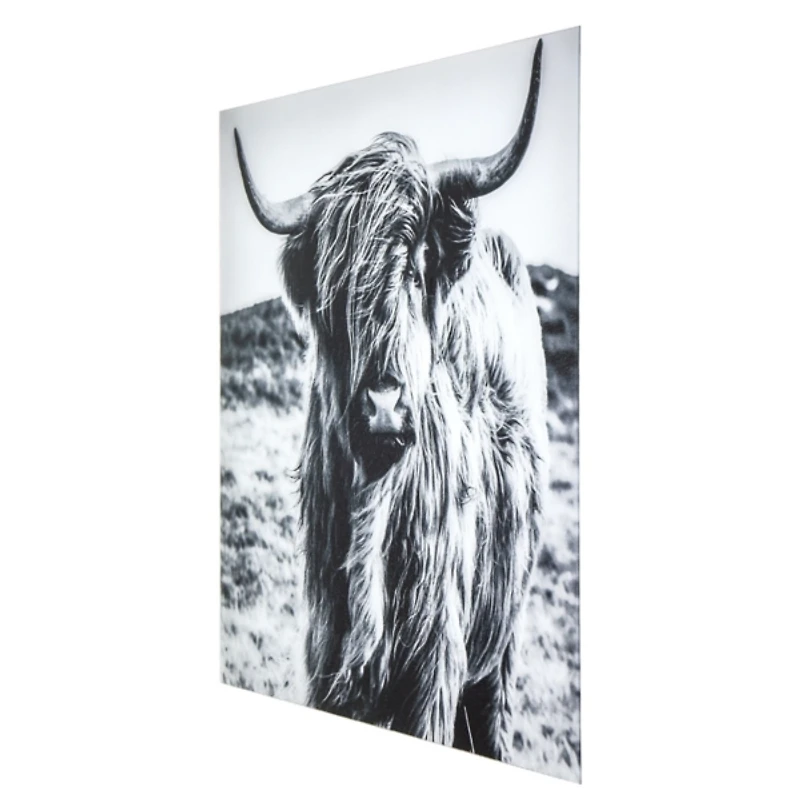 Highland Cow Tempered Glass Art Print