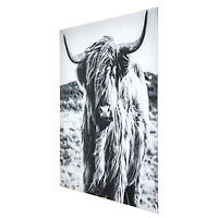 Highland Cow Tempered Glass Art Print
