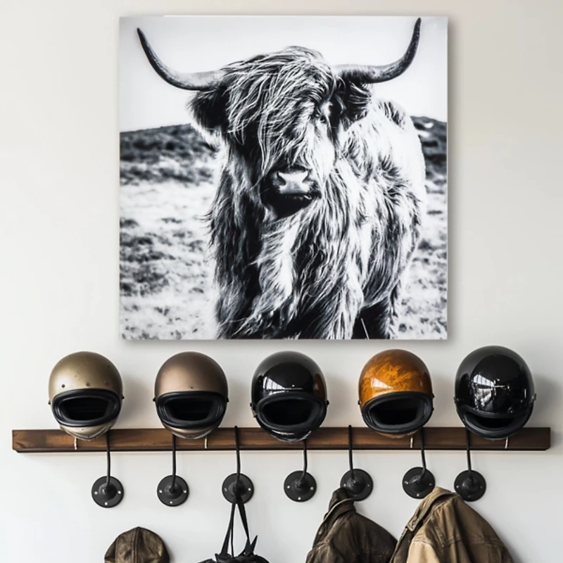 Highland Cow Tempered Glass Art Print