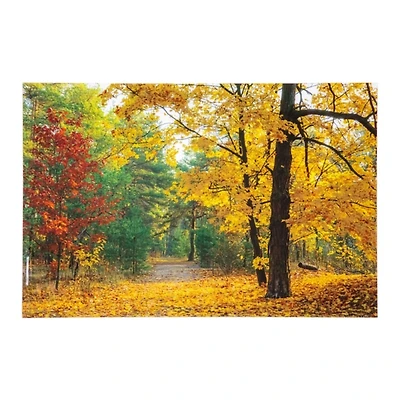 Abscission Path Tempered Glass Art Print