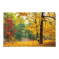 Abscission Path Tempered Glass Art Print