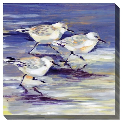 Sandpipers Outdoor Canvas Art Print