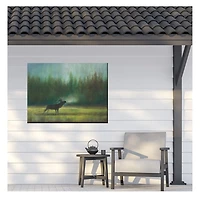 Elk in the Wild Outdoor Canvas Art Print