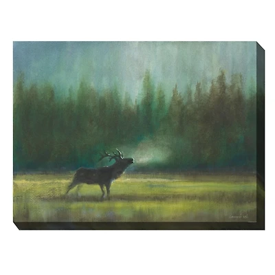 Elk in the Wild Outdoor Canvas Art Print
