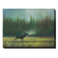 Elk in the Wild Outdoor Canvas Art Print