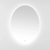 Oval Nolan LED Wall Mirror