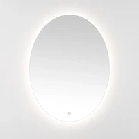 Oval Nolan LED Wall Mirror