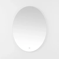Oval Nolan LED Wall Mirror