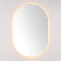 Oval Jax LED Wall Mirror