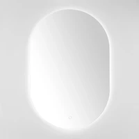 Oval Jax LED Wall Mirror