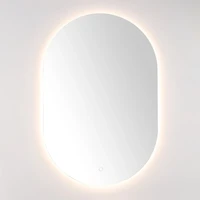 Oval Jax LED Wall Mirror