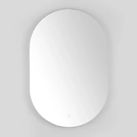Oval Jax LED Wall Mirror