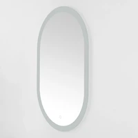 Oval Wes LED Wall Mirror