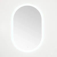 Oval Wes LED Wall Mirror