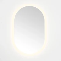 Oval Wes LED Wall Mirror