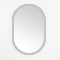 Oval Wes LED Wall Mirror