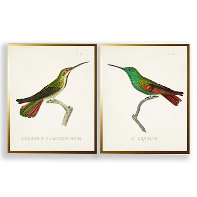 Vintage Hummingbird I 2-pc. Framed Art Print Set