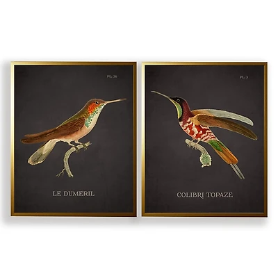 Vintage Hummingbird III 2-pc. Framed Art Print Set