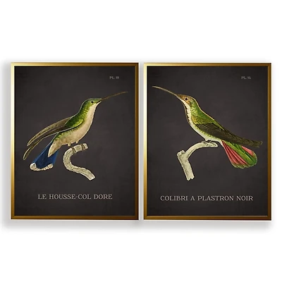 Vintage Hummingbird IV 2-pc. Framed Art Print Set