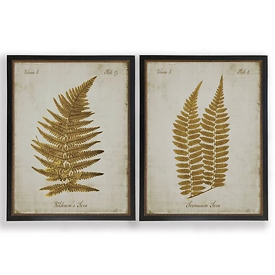 Vintage Sepia Ferns I Framed Art Prints, Set of 2