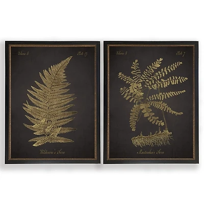 Vintage Sepia Ferns II Framed Art Prints, Set of 2