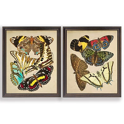 Vintage Butterflies I Framed Art Prints, Set of 2