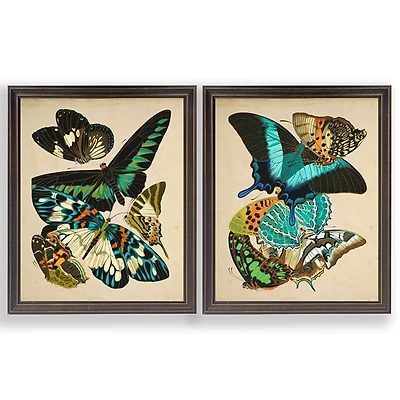 Vintage Butterflies II Framed Art Prints, Set of 2