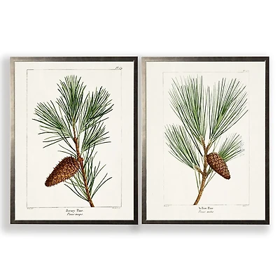 Vintage Pine Leaves Framed Art Prints, Set of 2
