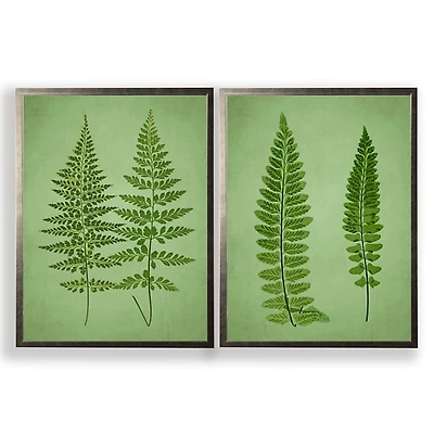 Vintage Green Ferns I Framed Art Prints, Set of 2