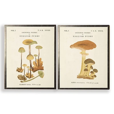 Vintage Mushrooms II Framed Art Prints, Set of 2