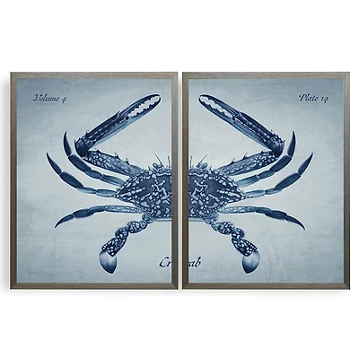 Vintage Split Crab Framed Art Prints, Set of 2