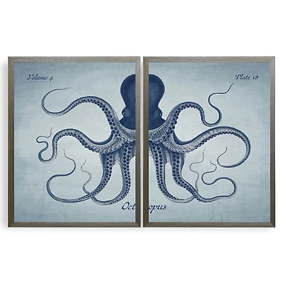 Vintage Split Octopus Framed Art Prints, Set of 2