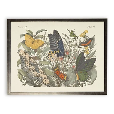 Vintage Butterfly Bookplate Framed Art Print