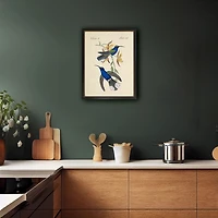 Blue and Green Hummingbird Pair Framed Art Print