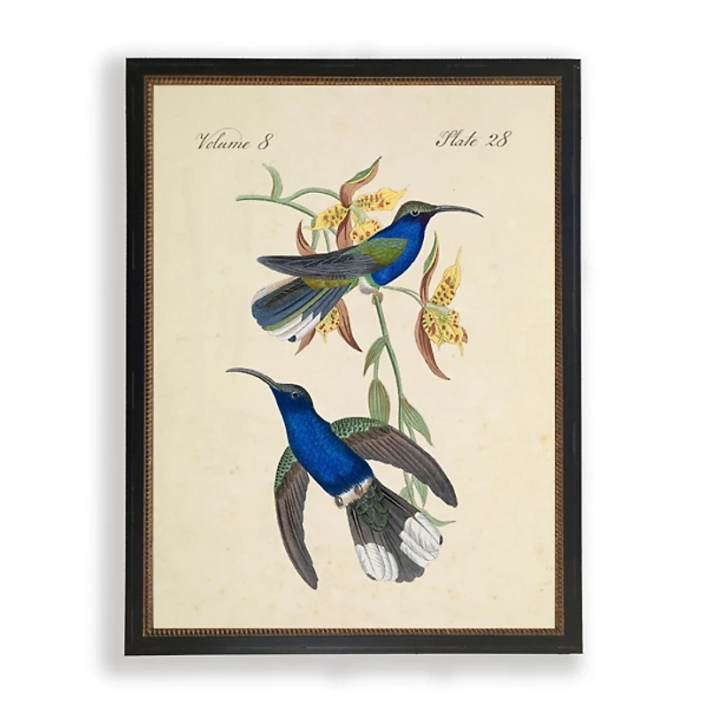Blue and Green Hummingbird Pair Framed Art Print