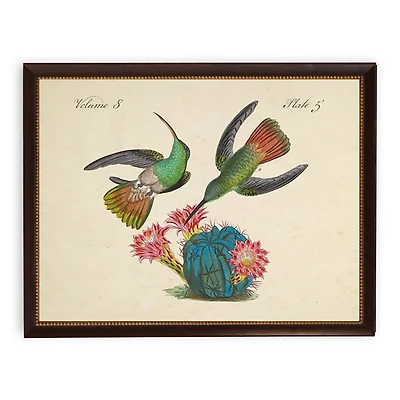 Vintage Hummingbirds on Cactus Framed Art Print