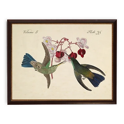 Vintage Hummingbirds with Flowers Framed Art Print