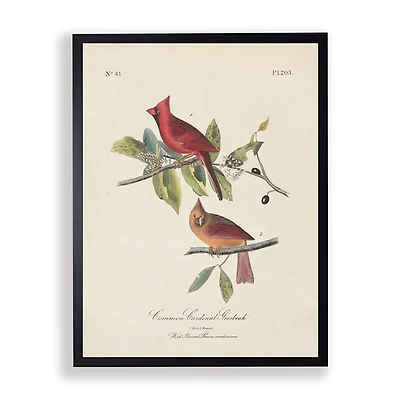 Vintage Cardinal Birds Framed Art Print