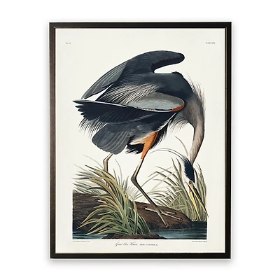 Vintage Blue Heron Bookplate Framed Art Print