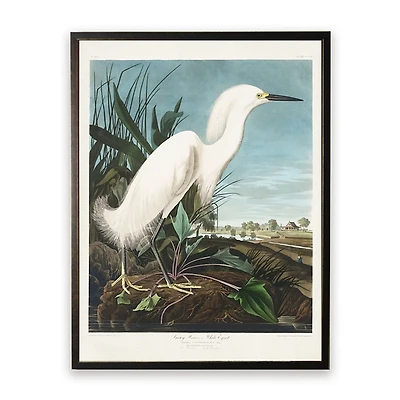 Vintage White Egret Bookplate Framed Art Print