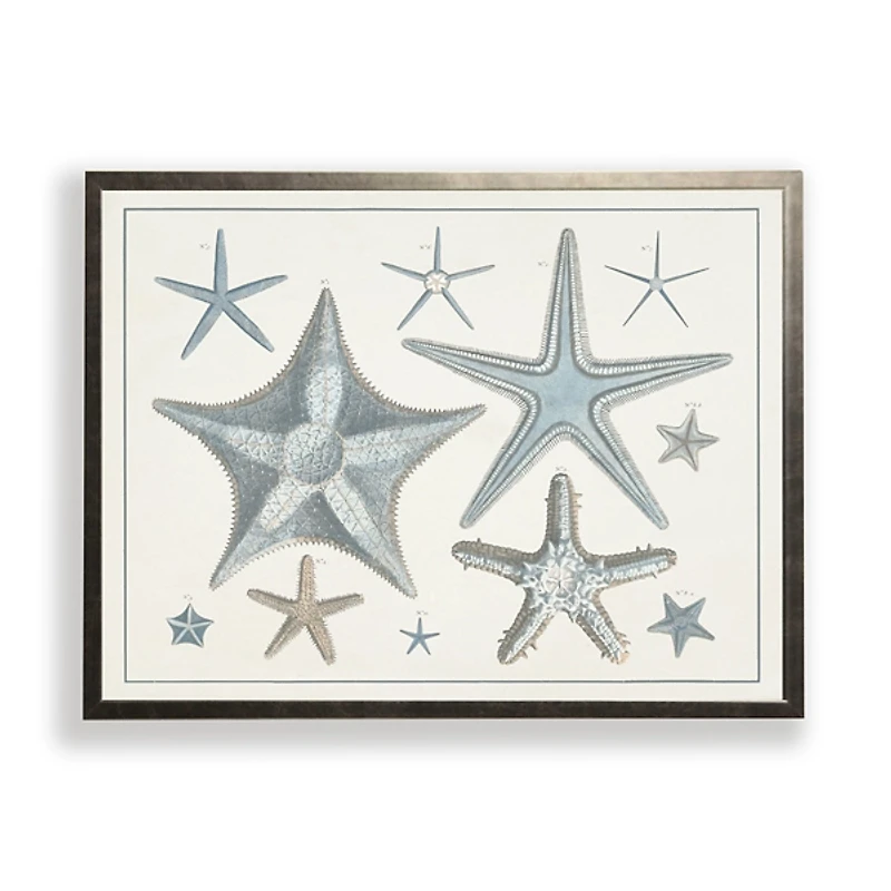 Starfish Collage Bronze Framed Art Print