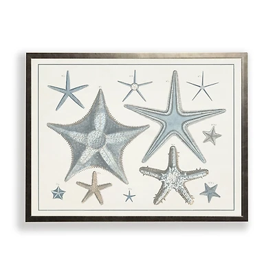 Starfish Collage Bronze Framed Art Print