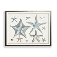 Starfish Collage Bronze Framed Art Print