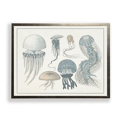 Jellyfish Collage Bronze Framed Art Print
