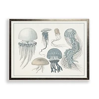 Jellyfish Collage Bronze Framed Art Print